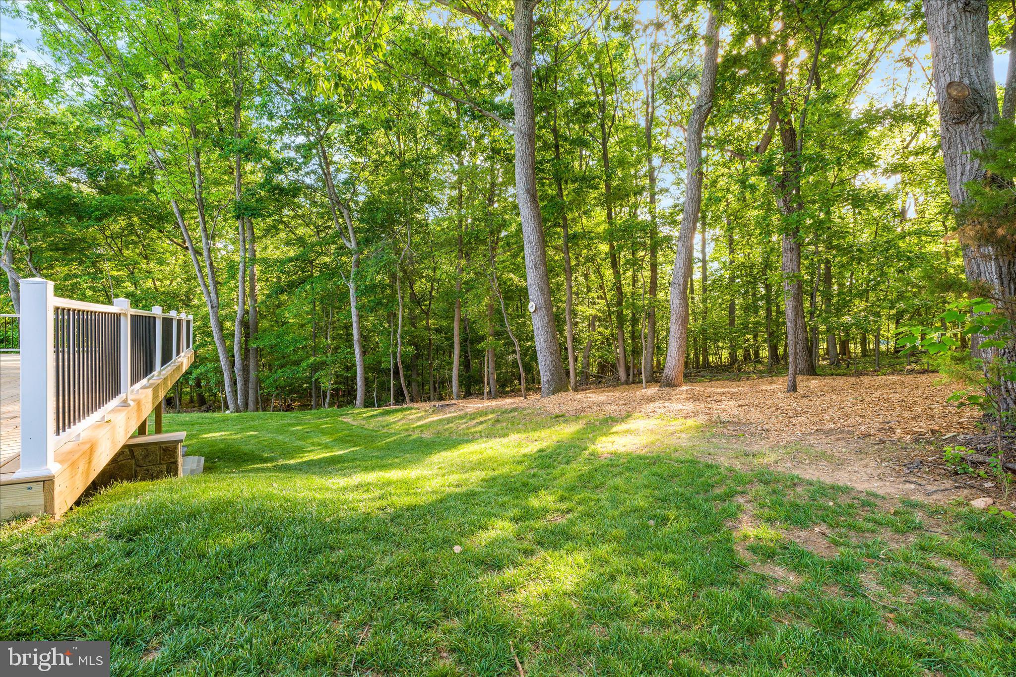 3908 Shakespeare Way Monrovia, MD 21770 - Photo 39 of 59 a view of a back yard