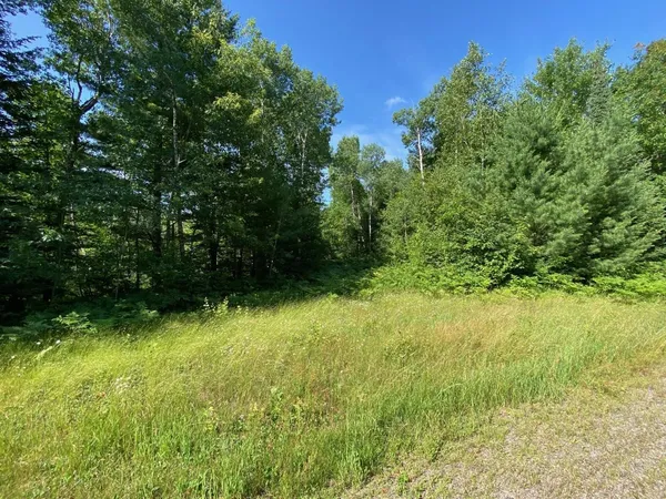 $43,000 | Lot 2 Cambridge, Rhinelander, WI 54501