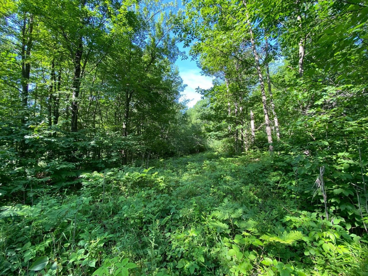 Lot 2 Cambridge Rhinelander, WI 54501 - Photo 11 of 13