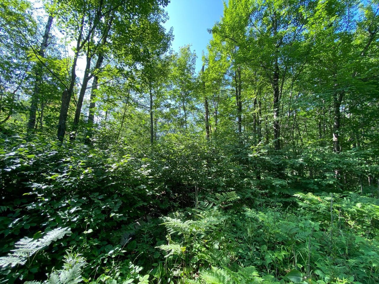 Lot 2 Cambridge Rhinelander, WI 54501 - Photo 12 of 13