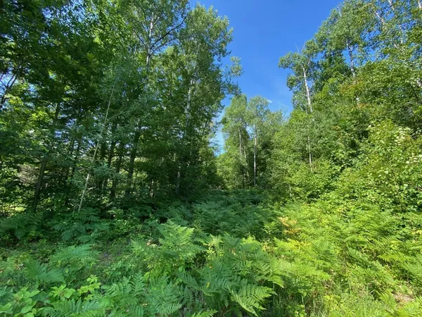 $43,000 | Lot 2 Cambridge, Rhinelander, WI 54501
