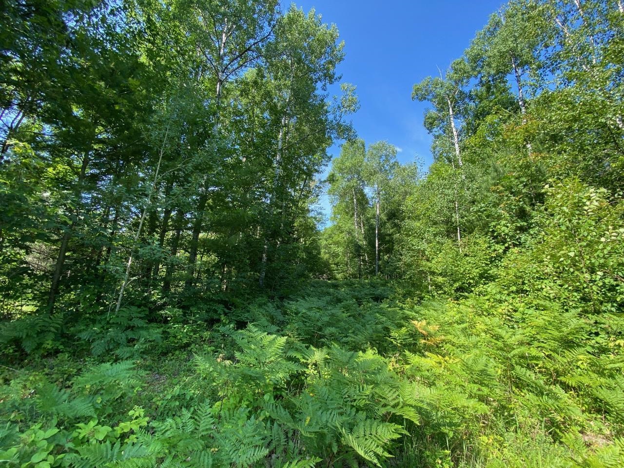 Lot 2 Cambridge Rhinelander, WI 54501 - Photo 6 of 13