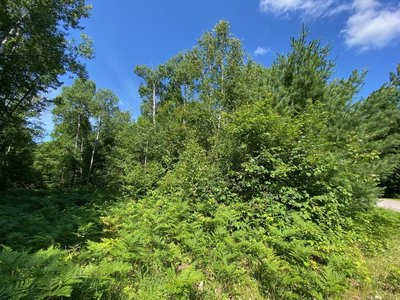 Lot 2 Cambridge Rhinelander, WI 54501 - Photo 7 of 13