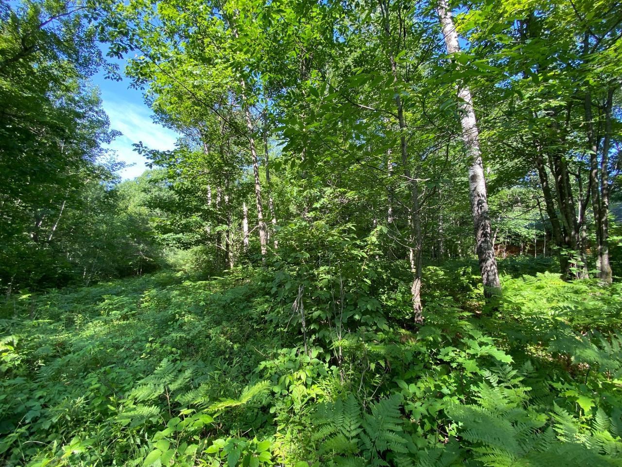 Lot 2 Cambridge Rhinelander, WI 54501 - Photo 8 of 13