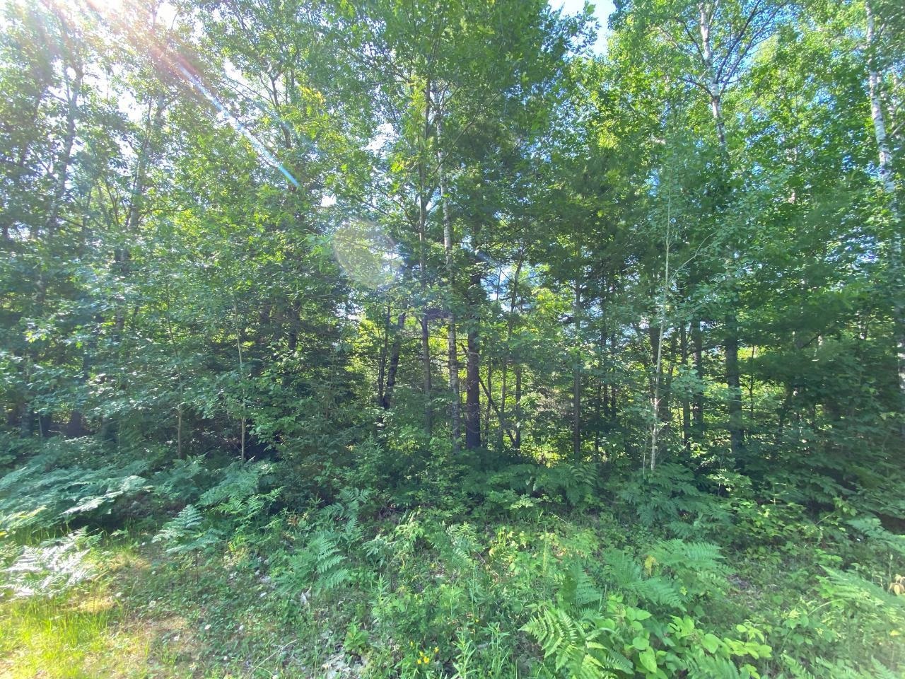 Lot 2 Cambridge Rhinelander, WI 54501 - Photo 9 of 13