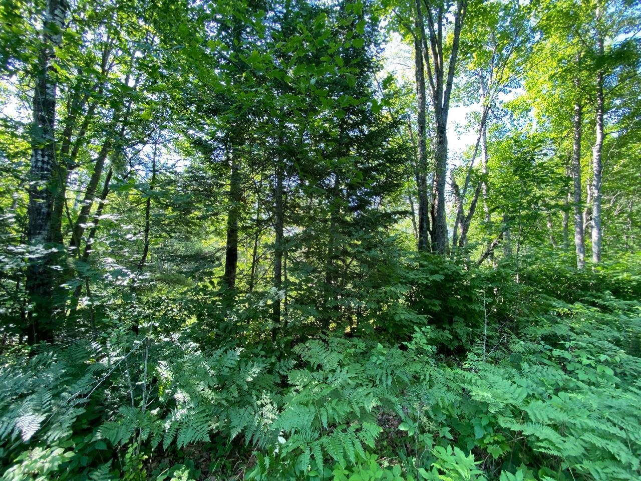 Lot 2 Cambridge Rhinelander, WI 54501 - Photo 10 of 13