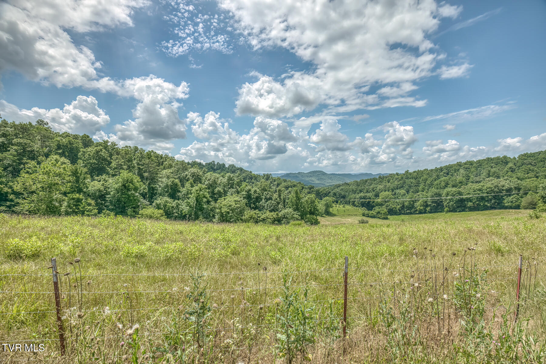 2083 Bundren Mountain Road Tazewell, TN 37879 - Photo 22 of 42 2083 Bundren Mountain Rd-29