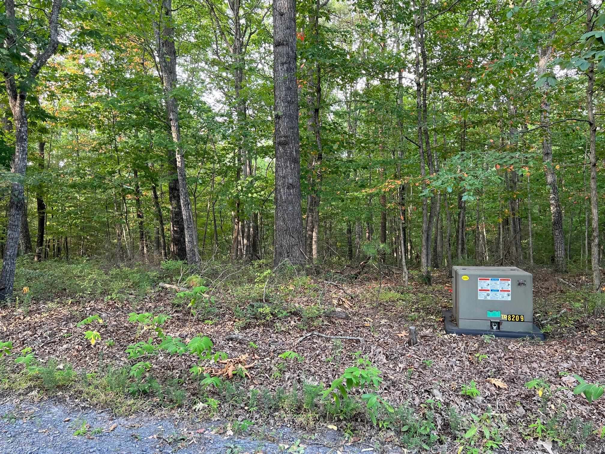 Lot 13 Mountain Run Road Churchville, VA 24421 - Photo 11 of 27 Gallery Image 11