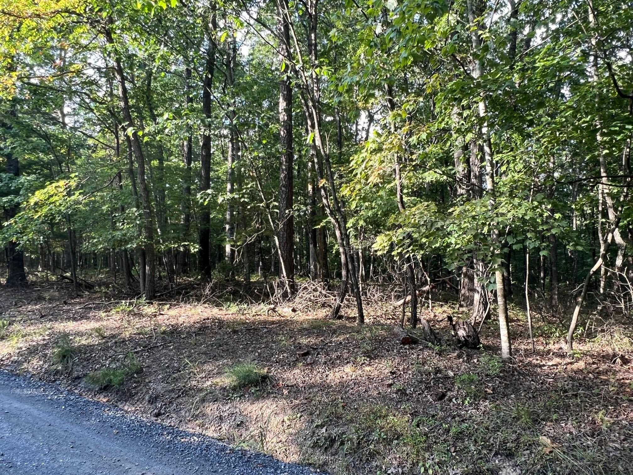 Lot 13 Mountain Run Road Churchville, VA 24421 - Photo 24 of 27 Gallery Image 24
