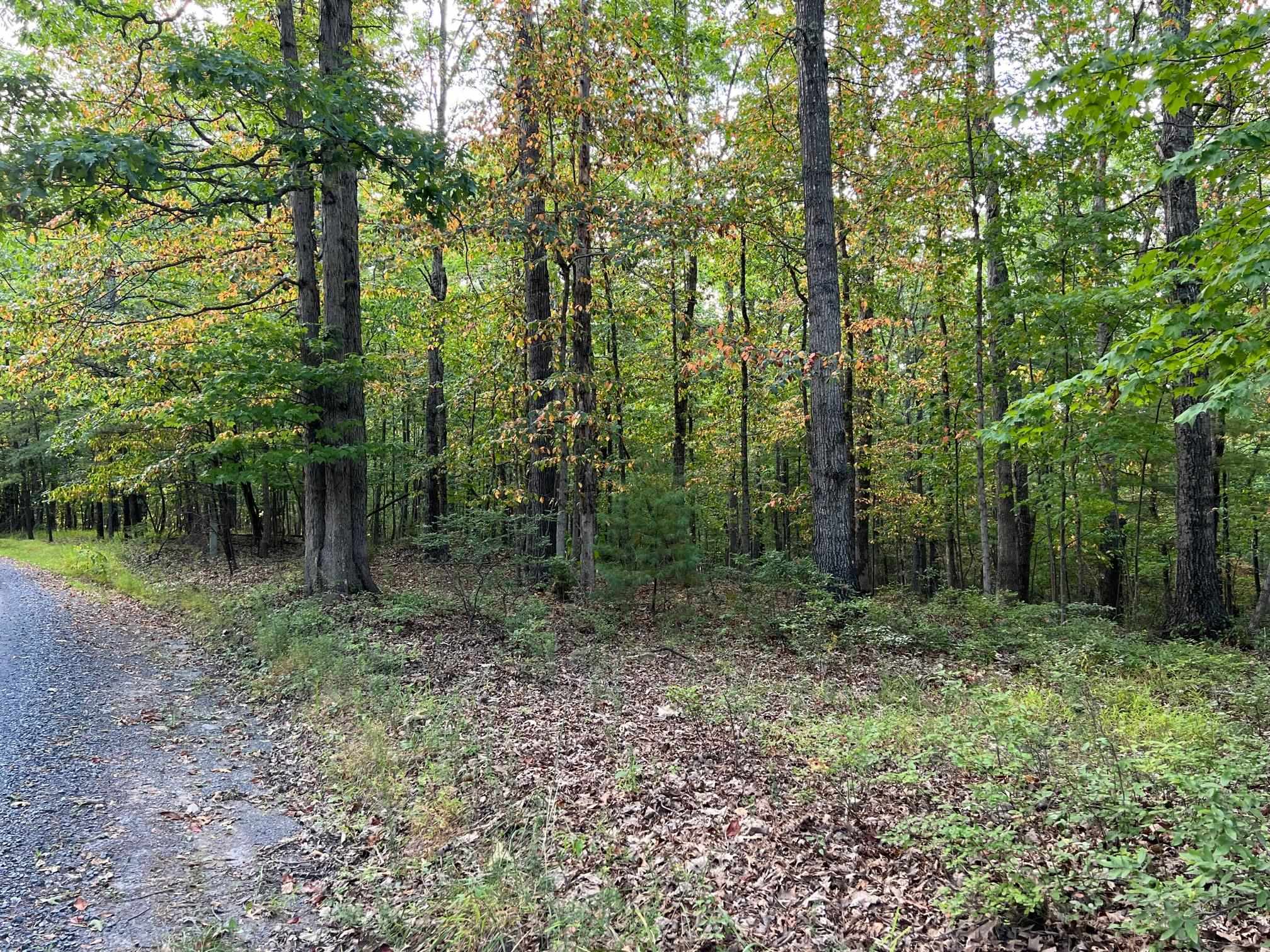 Lot 13 Mountain Run Road Churchville, VA 24421 - Photo 8 of 27 Gallery Image 8