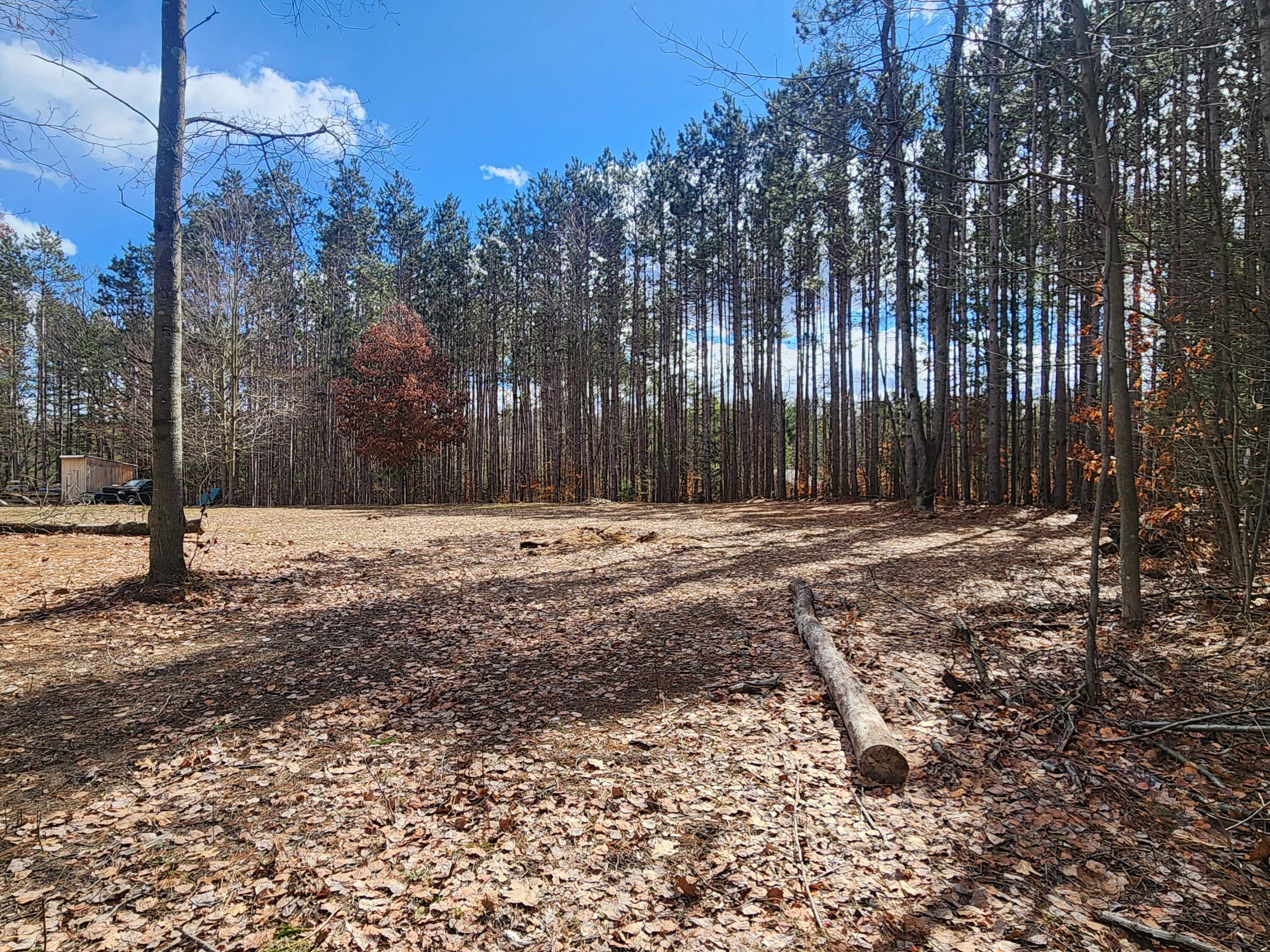 8 8 Mile Road Stanwood, MI 49346 - Photo 3 of 9 20260312_140315