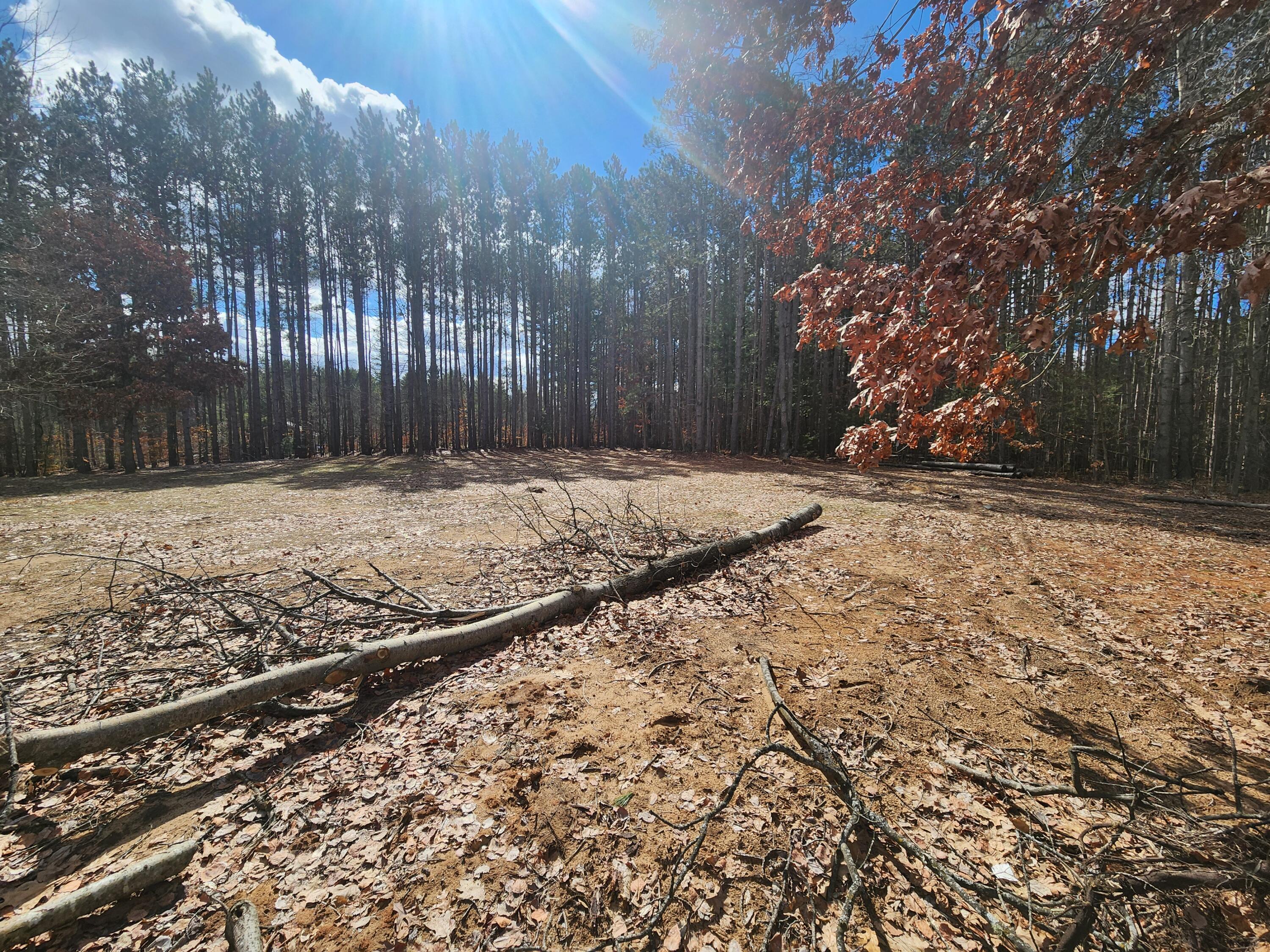 8 8 Mile Road Stanwood, MI 49346 - Photo 5 of 9 20260312_140430