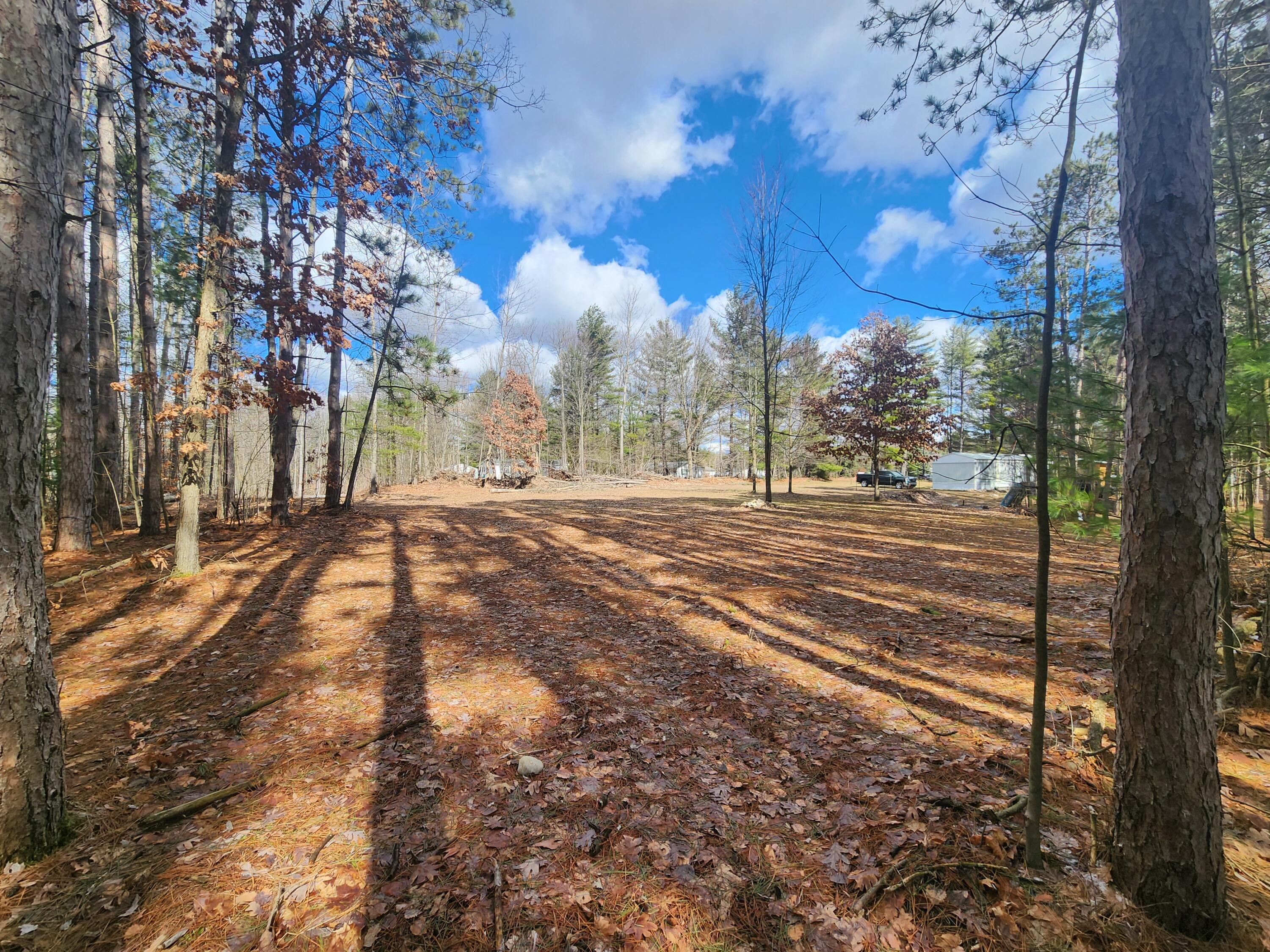 8 8 Mile Road Stanwood, MI 49346 - Photo 7 of 9 20260312_140522