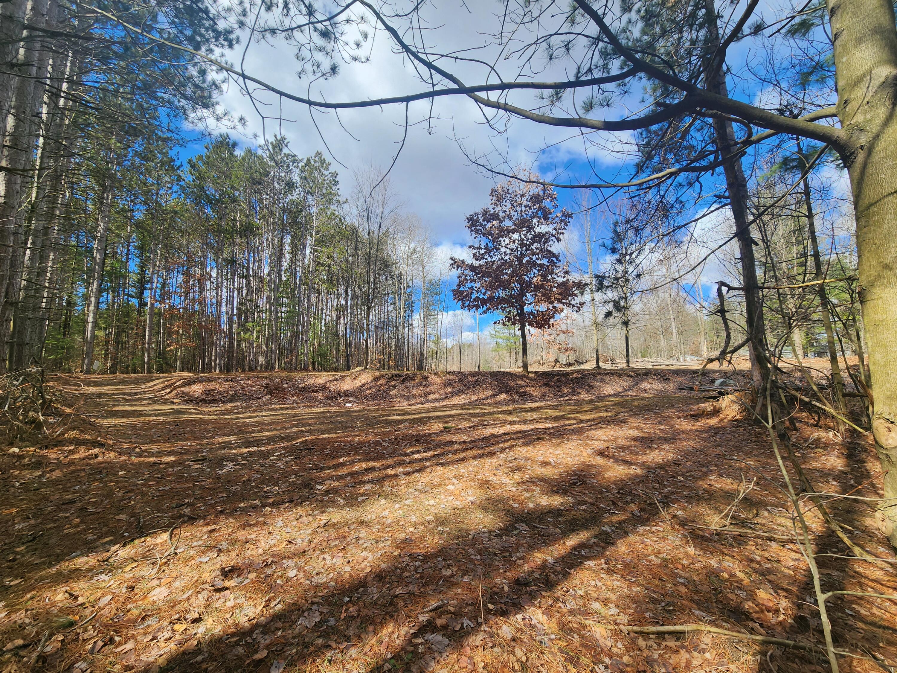 8 8 Mile Road Stanwood, MI 49346 - Photo 8 of 9 20260312_140648