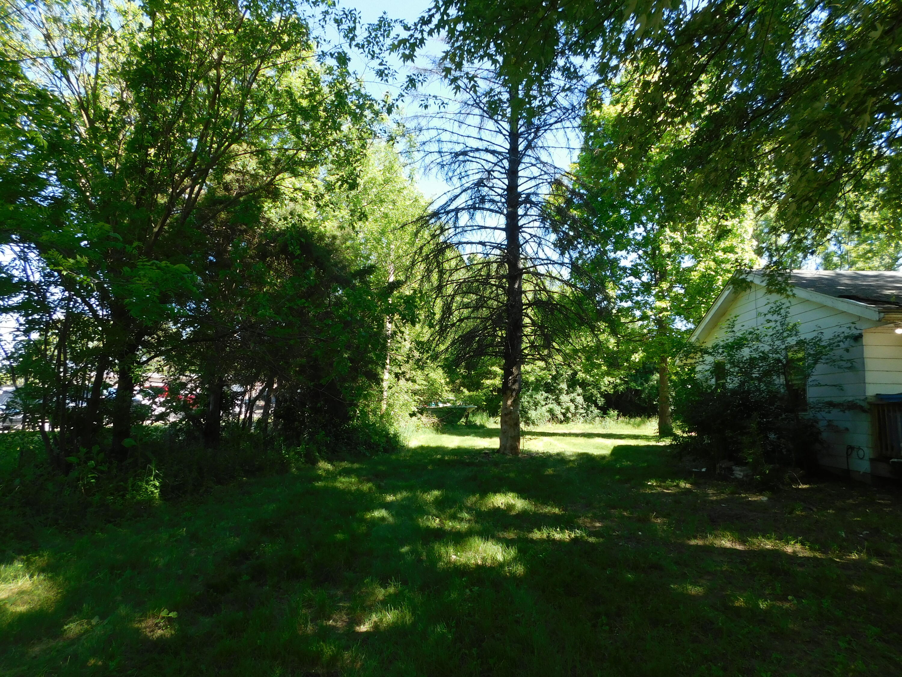 920 East Hoffman Street Three Rivers, MI 49093 - Photo 21 of 25 DSCN8779