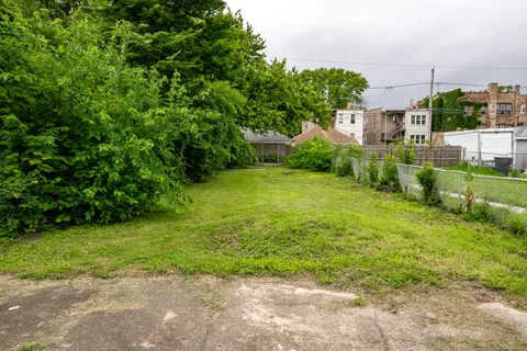 a view of a backyard with plants and large trees