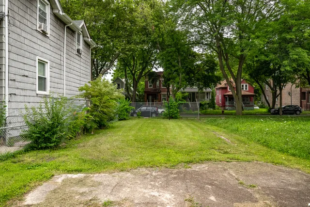 a view of a yard with plants and large trees