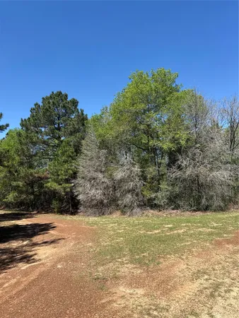 a view of a yard with an trees