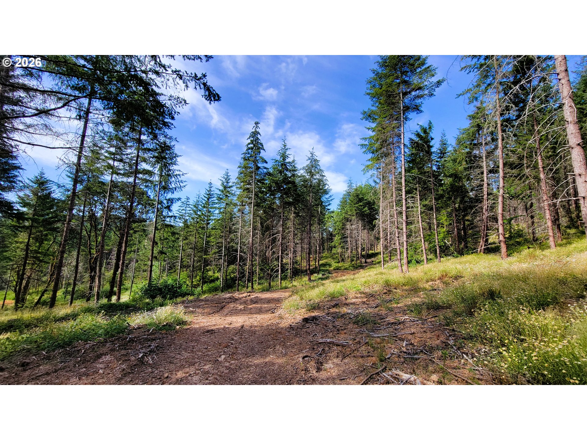 Branch Road, Unit 108 Eugene, OR 97402 - Photo 10 of 18