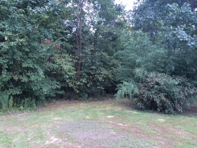 8944 Taylorville Road Tennyson, IN 47637 - Photo 13 of 15