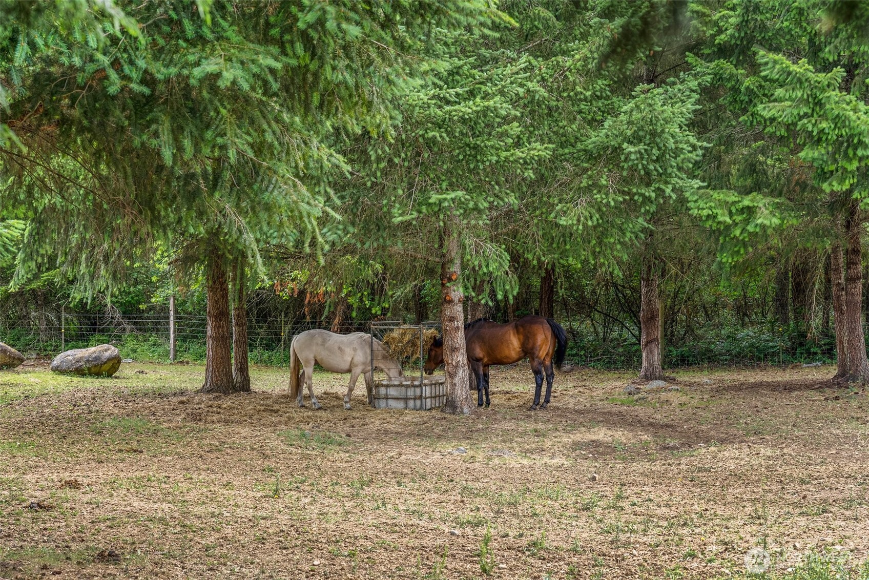 14628 Vail Cut Off Road Southeast Rainier, WA 98576 - Photo 34 of 37
