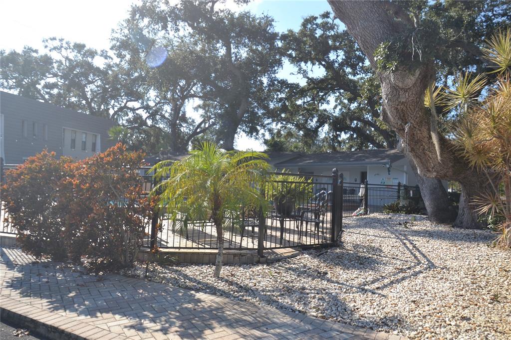718 Lyndhurst Street, Unit 922 Dunedin, FL 34698 - Photo 31 of 39 a view of a yard with a tree in the patio
