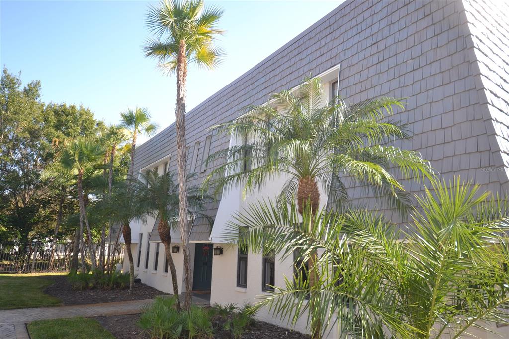 718 Lyndhurst Street, Unit 922 Dunedin, FL 34698 - Photo 38 of 39 a view of a house with a palm tree and plant