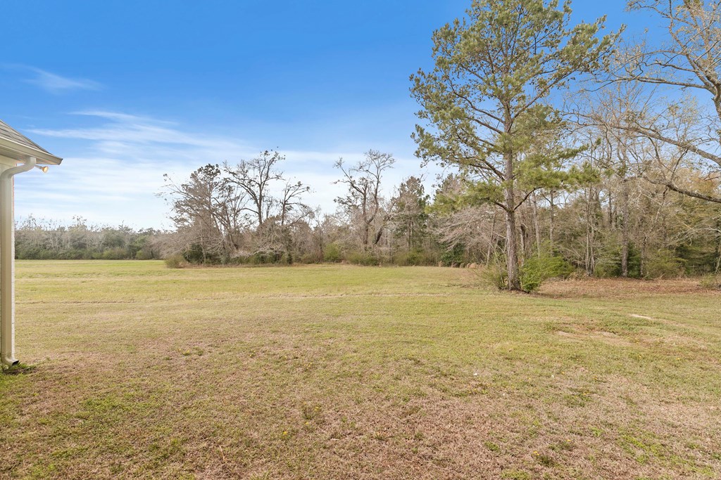 1335 Strong Road Ashford, AL 36312 - Photo 68 of 95
