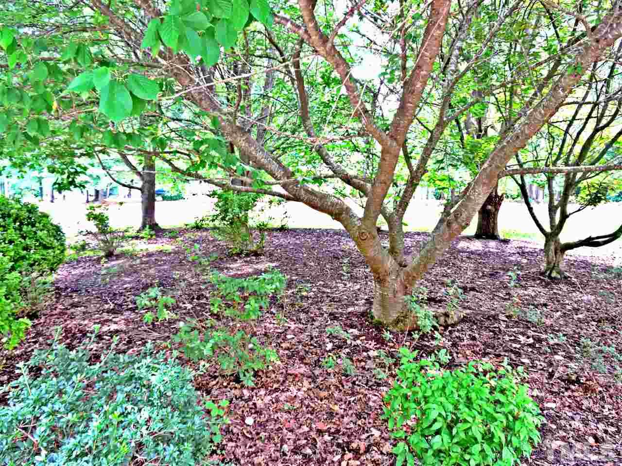 21 Landmark North Roxboro, NC 27574 - Photo 22 of 25 a view of a tree in a yard