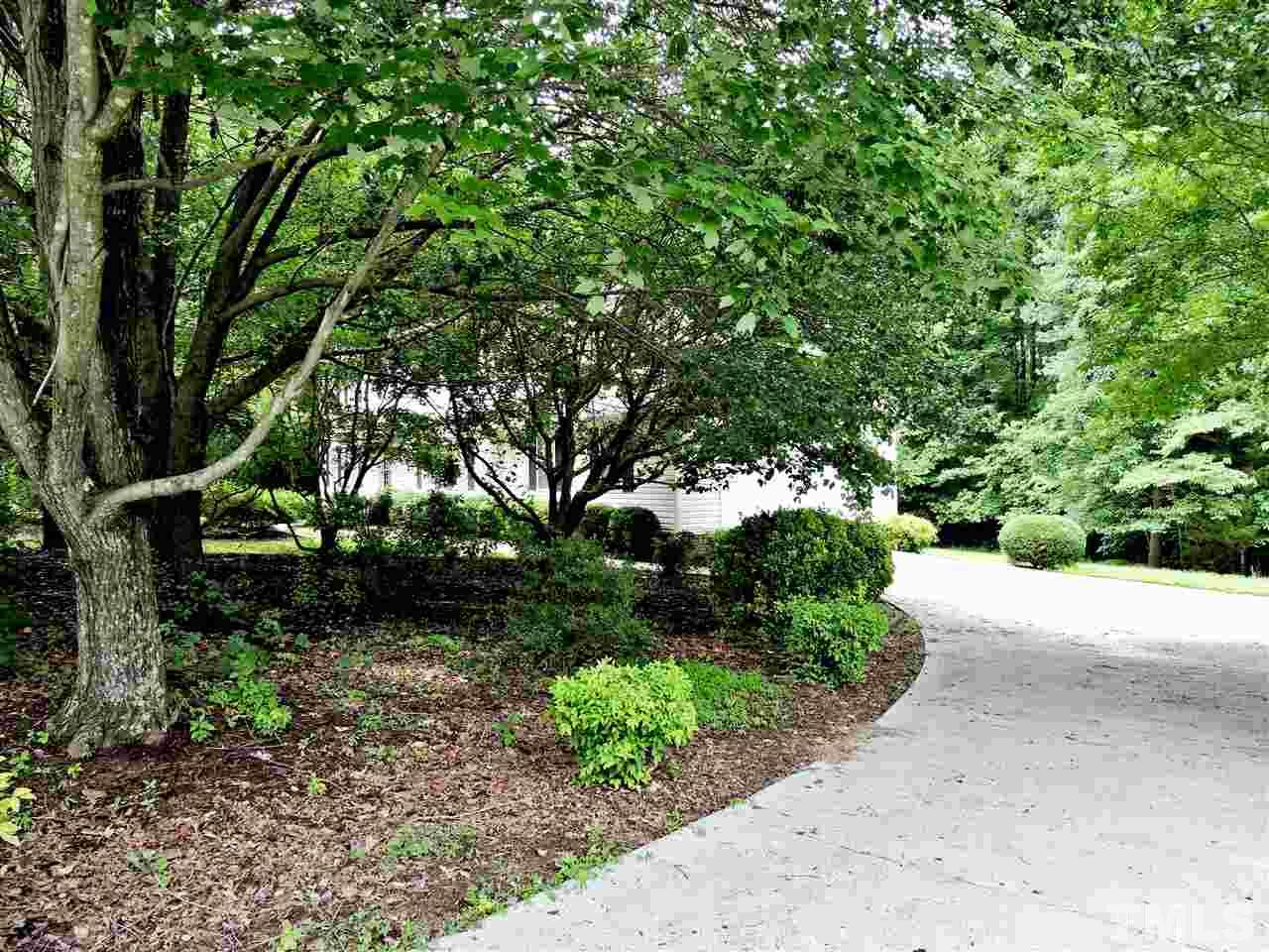 21 Landmark North Roxboro, NC 27574 - Photo 23 of 25 a view of a garden with plants and a large tree