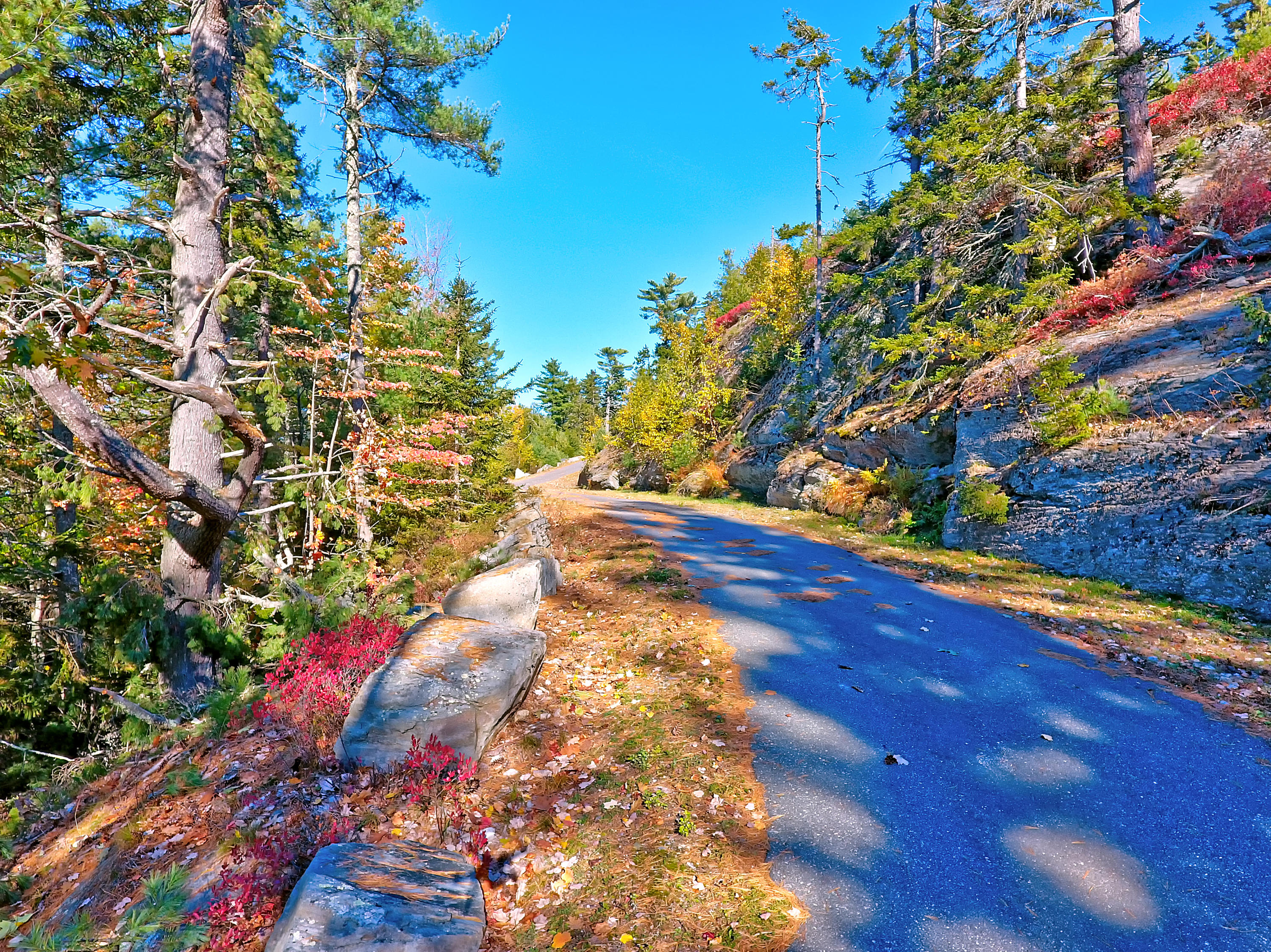Lot 6 Rotunda Hill Road Georgetown, ME 04548 - Photo 23 of 23 27_DJI_0301_2_3_4_5_copy