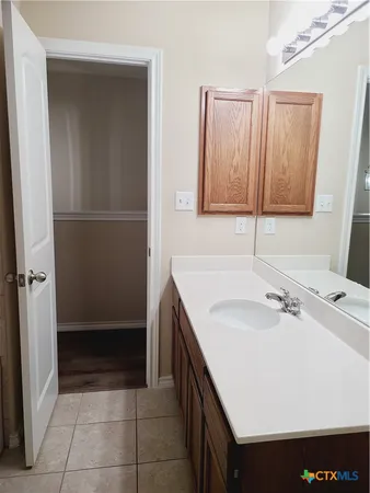 a bathroom with a sink and a mirror