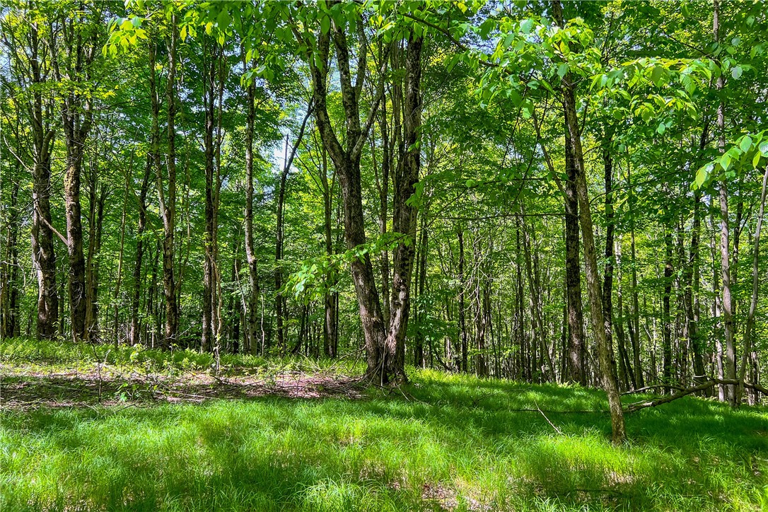 26 Federal Hill Road Delhi, NY 13753 - Photo 23 of 50