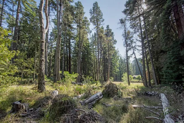 a view of outdoor space and trees