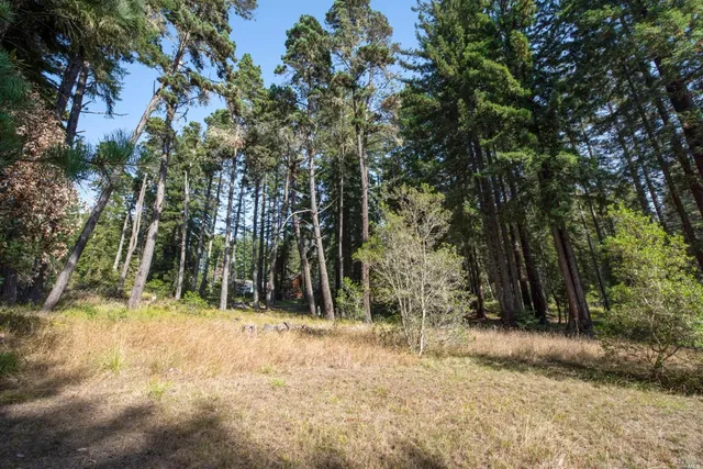 a view of backyard with green space