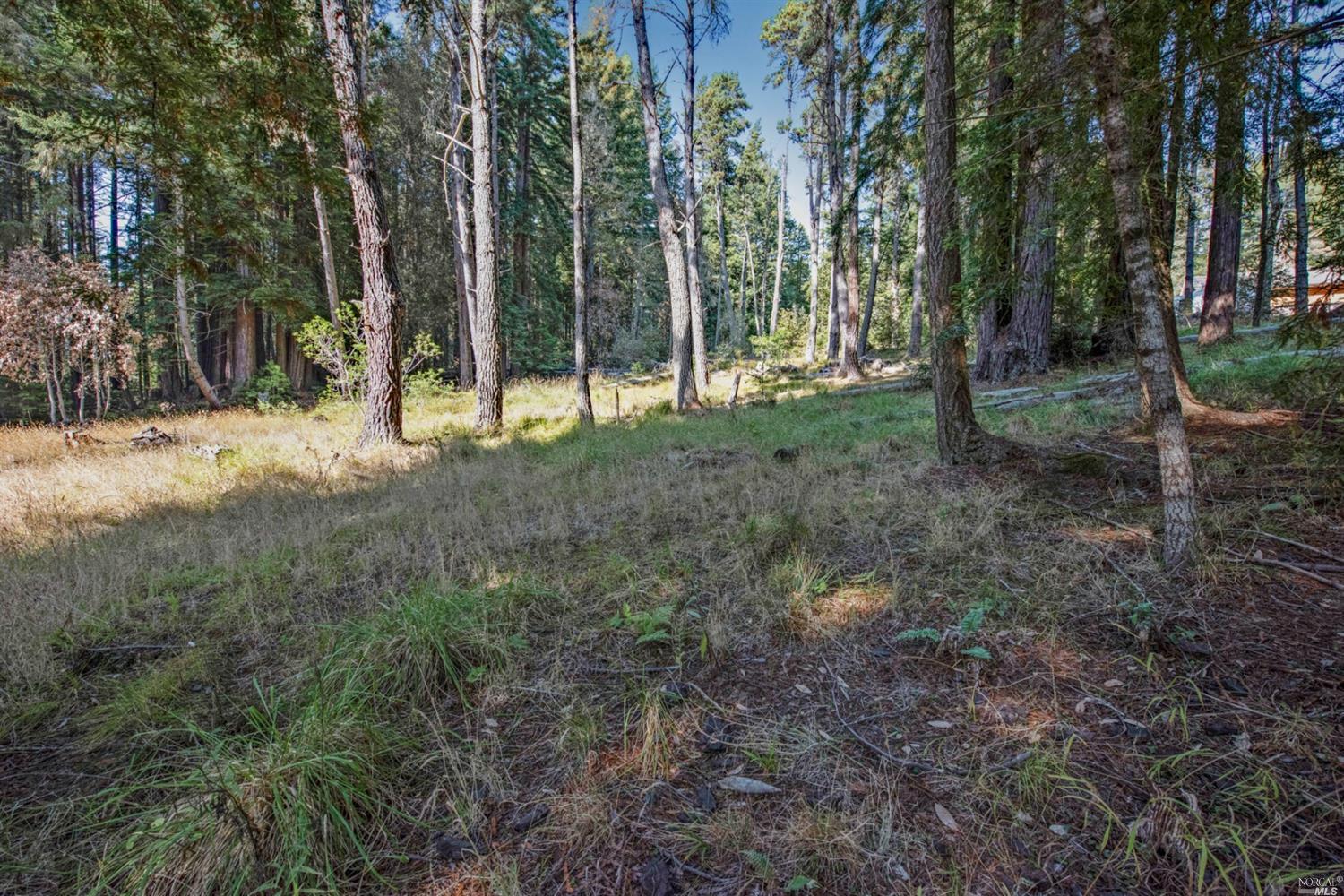 22103 Umland Circle Jenner, CA 95450 - Photo 17 of 23 a view of a forest with trees