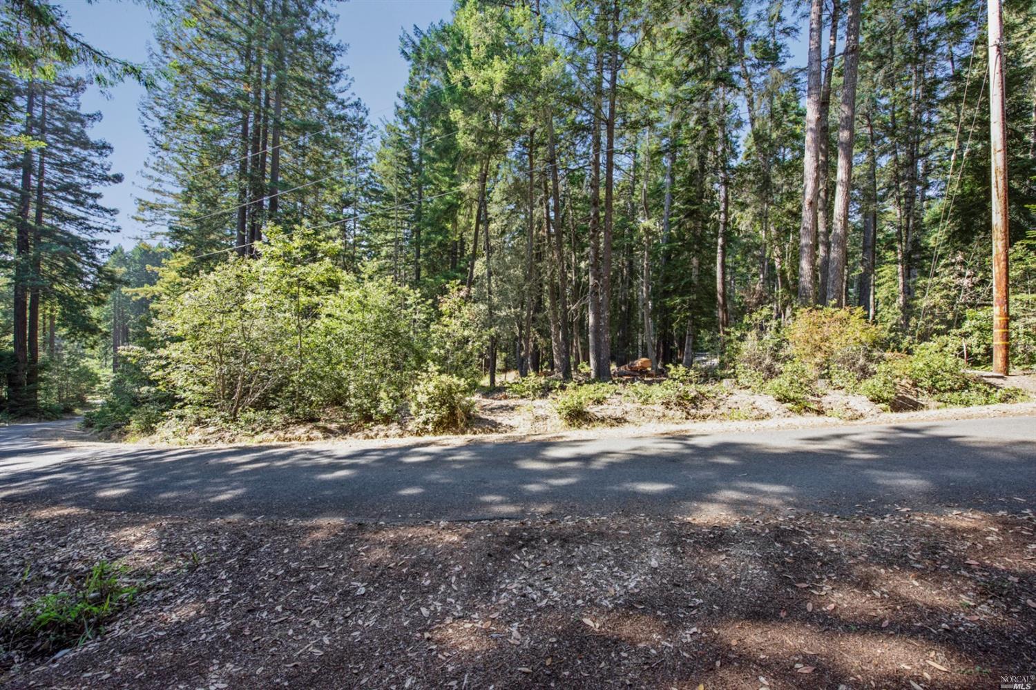 22103 Umland Circle Jenner, CA 95450 - Photo 2 of 23 a view of a yard with trees