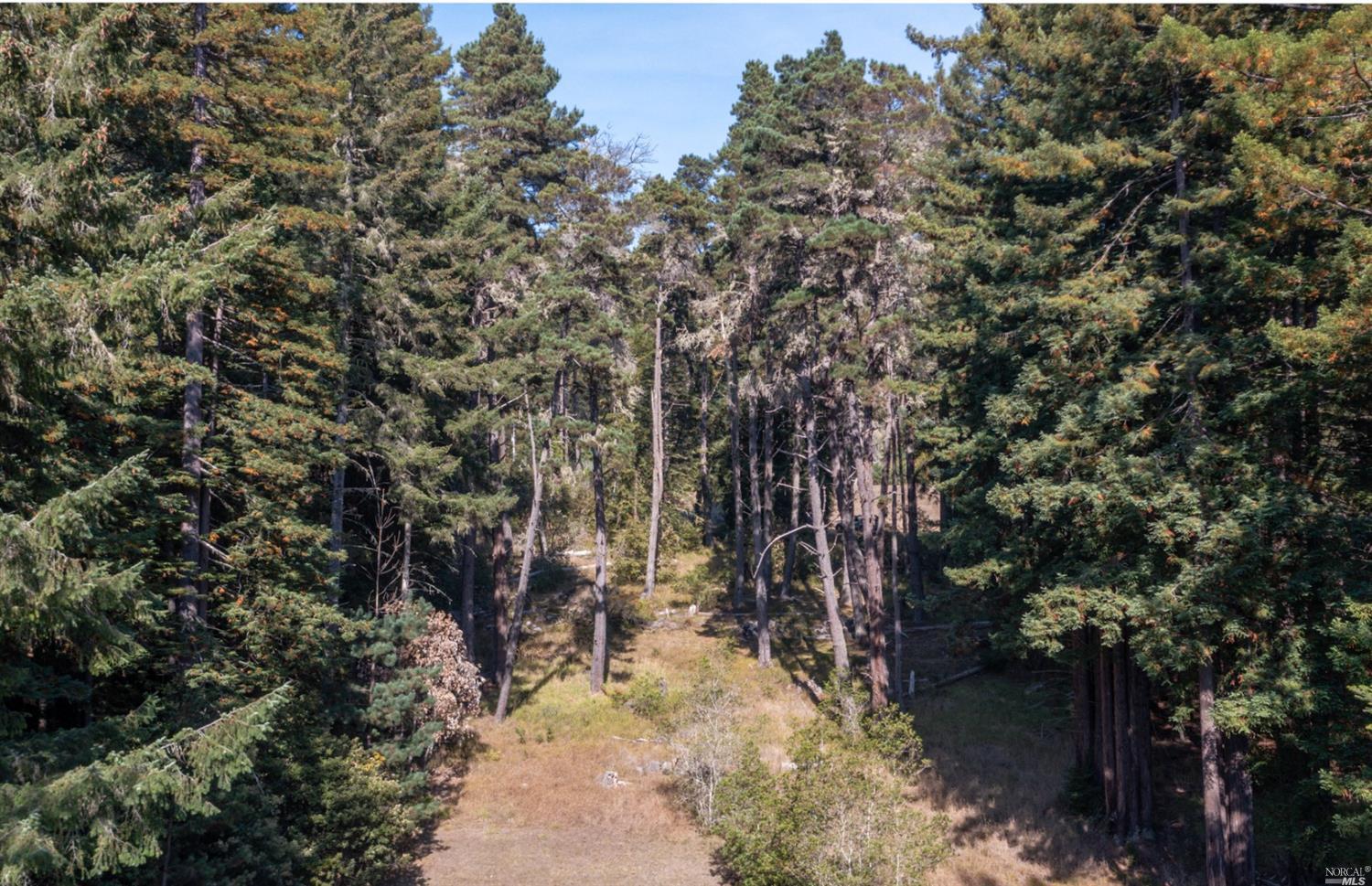 22103 Umland Circle Jenner, CA 95450 - Photo 6 of 23 a view of yard