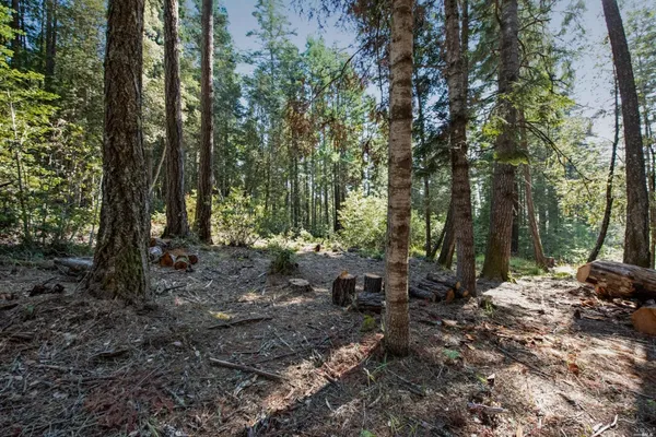 a view of outdoor space with lots of trees