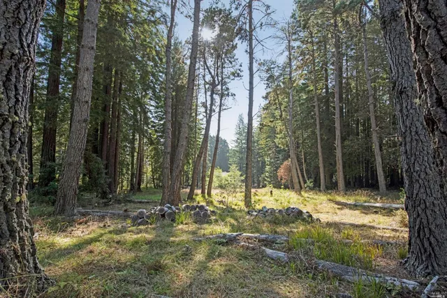 a view of outdoor space with trees