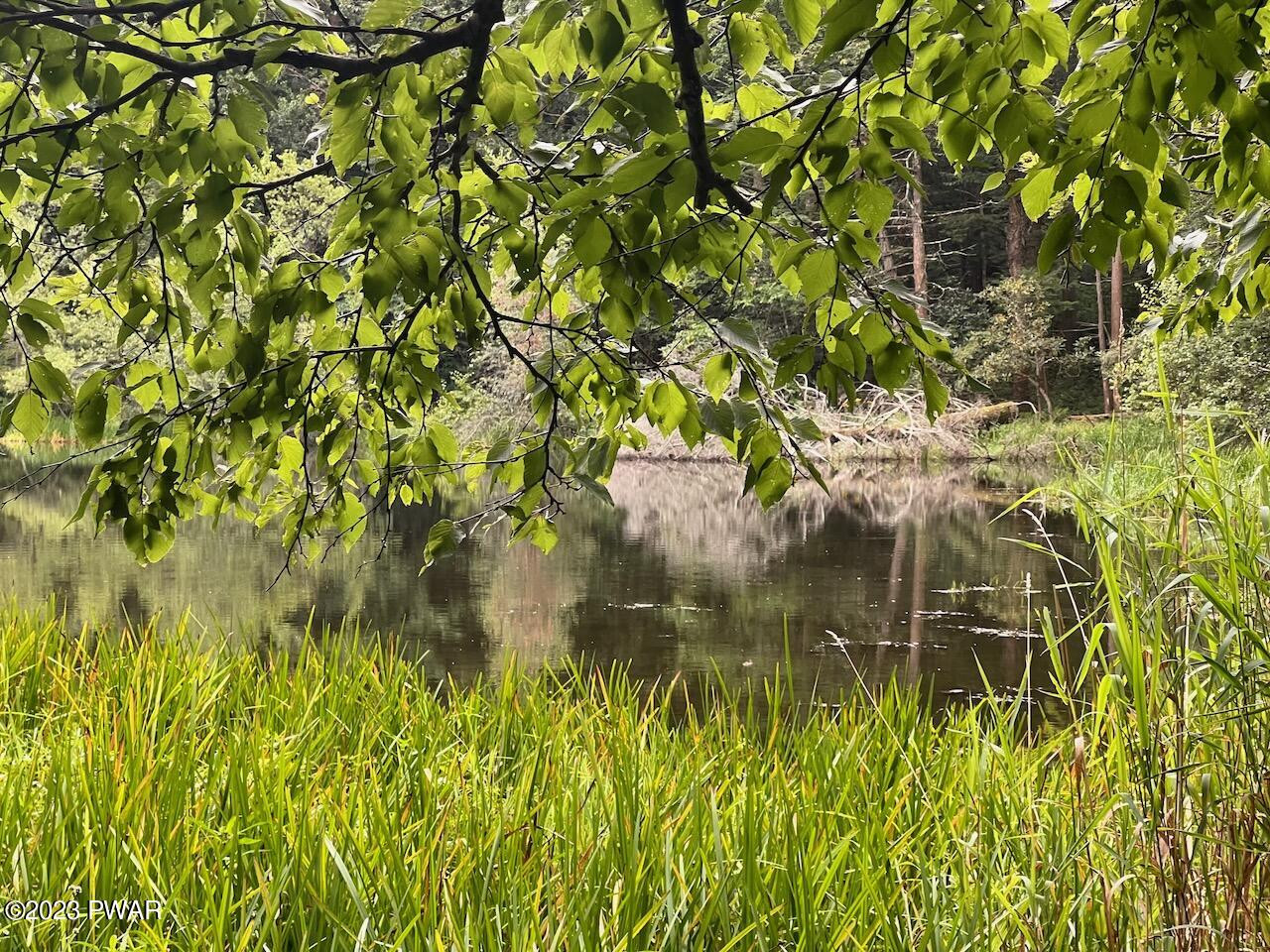 4-5 Secluded Lk Road Newfoundland, PA 18445 - Photo 15 of 22