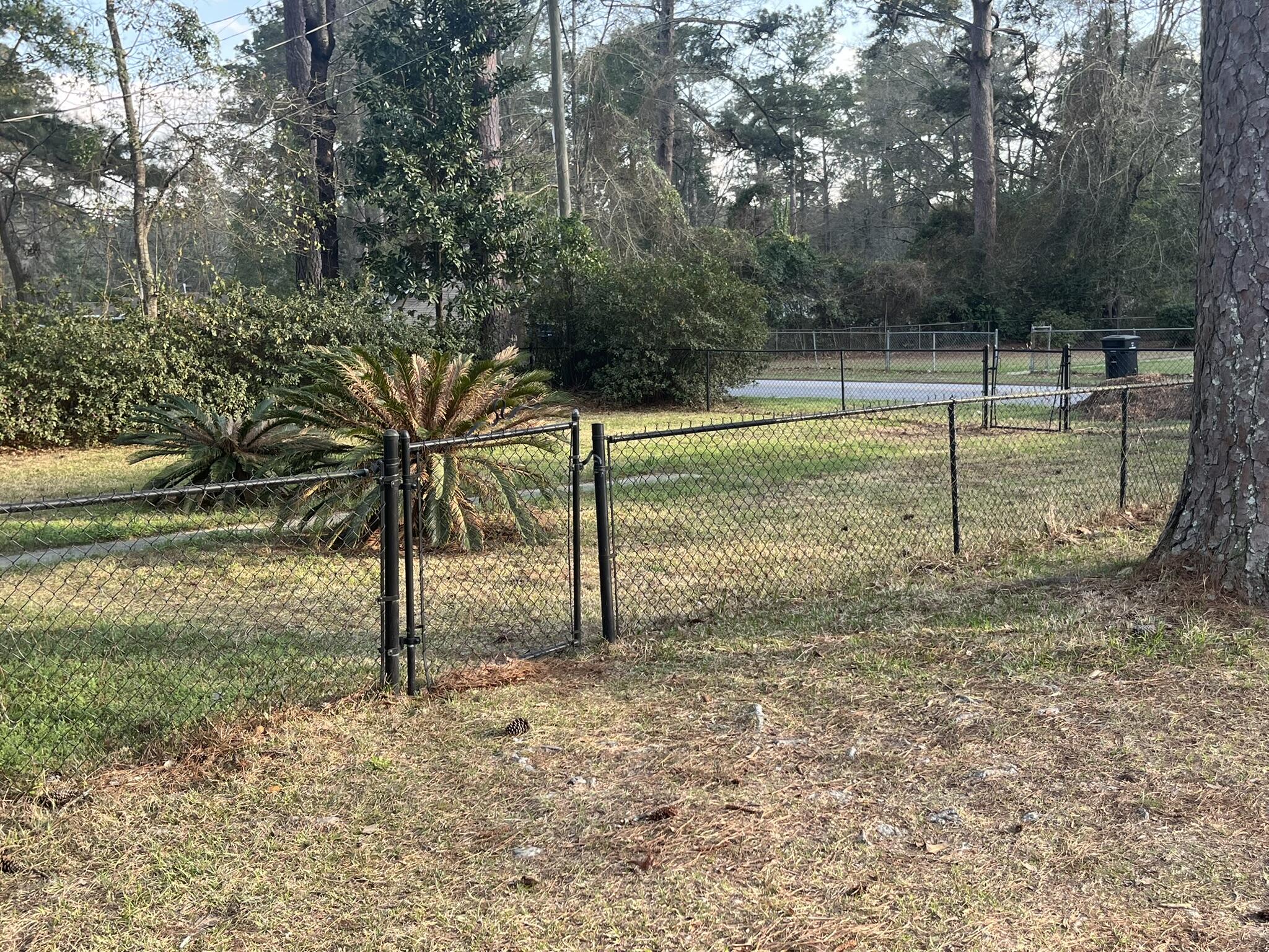 110 Peachtree Road Walterboro, SC 29488 - Photo 61 of 66 IMG_5318