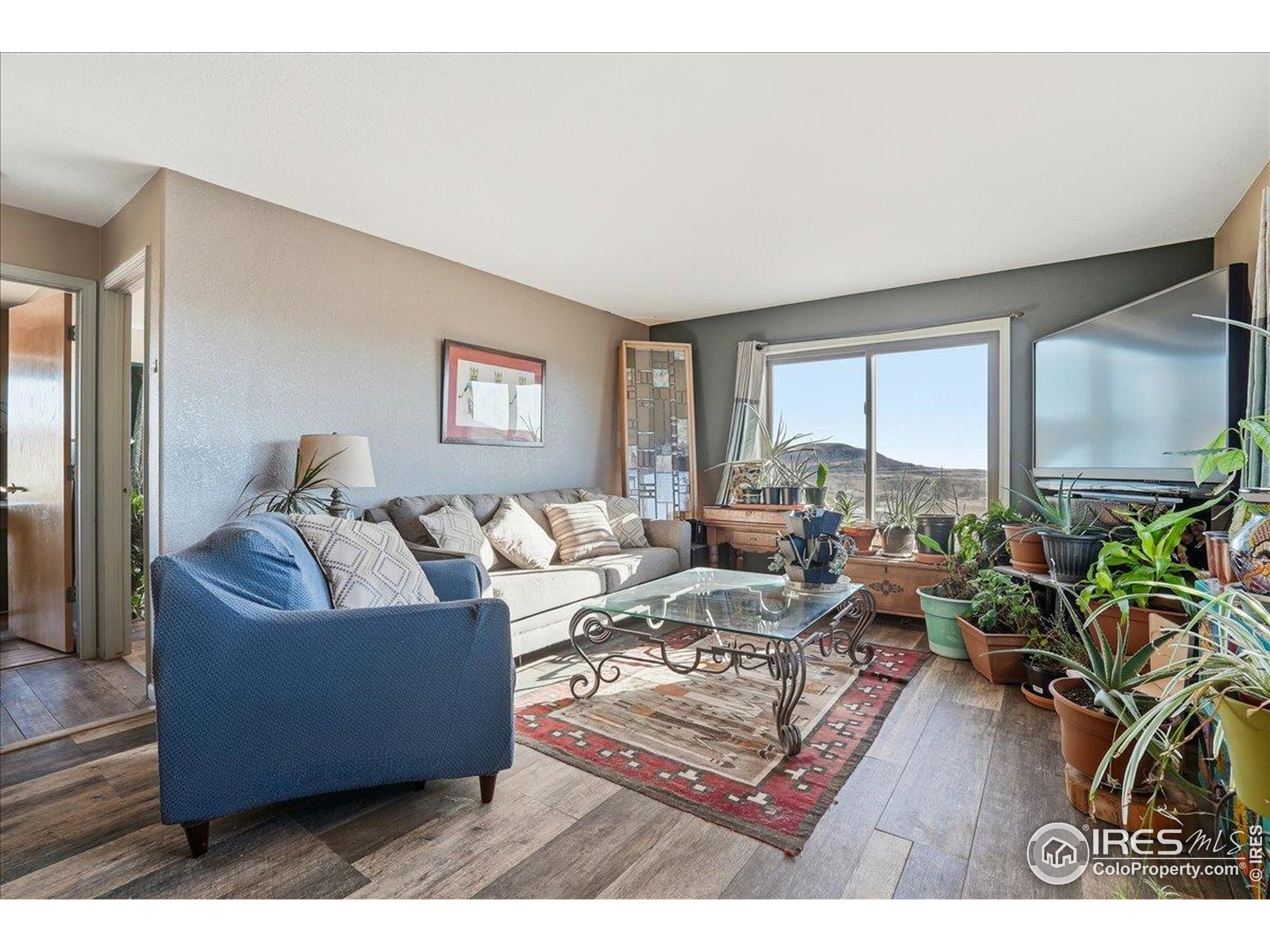 601 Red Mountain Road Livermore, CO 80536 - Photo 18 of 49 a living room with furniture and a table