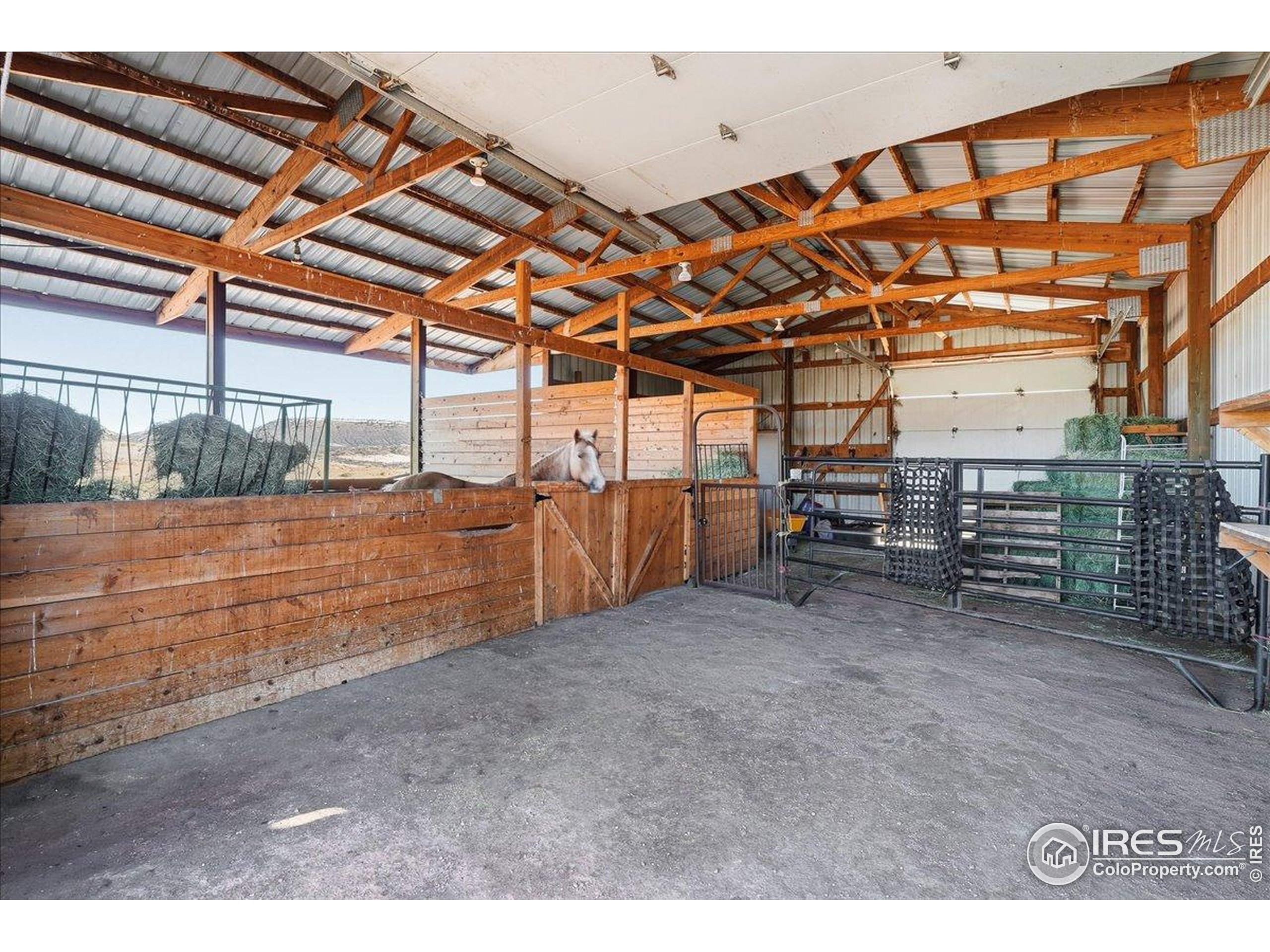 601 Red Mountain Road Livermore, CO 80536 - Photo 23 of 49 a view of a room with wooden walls