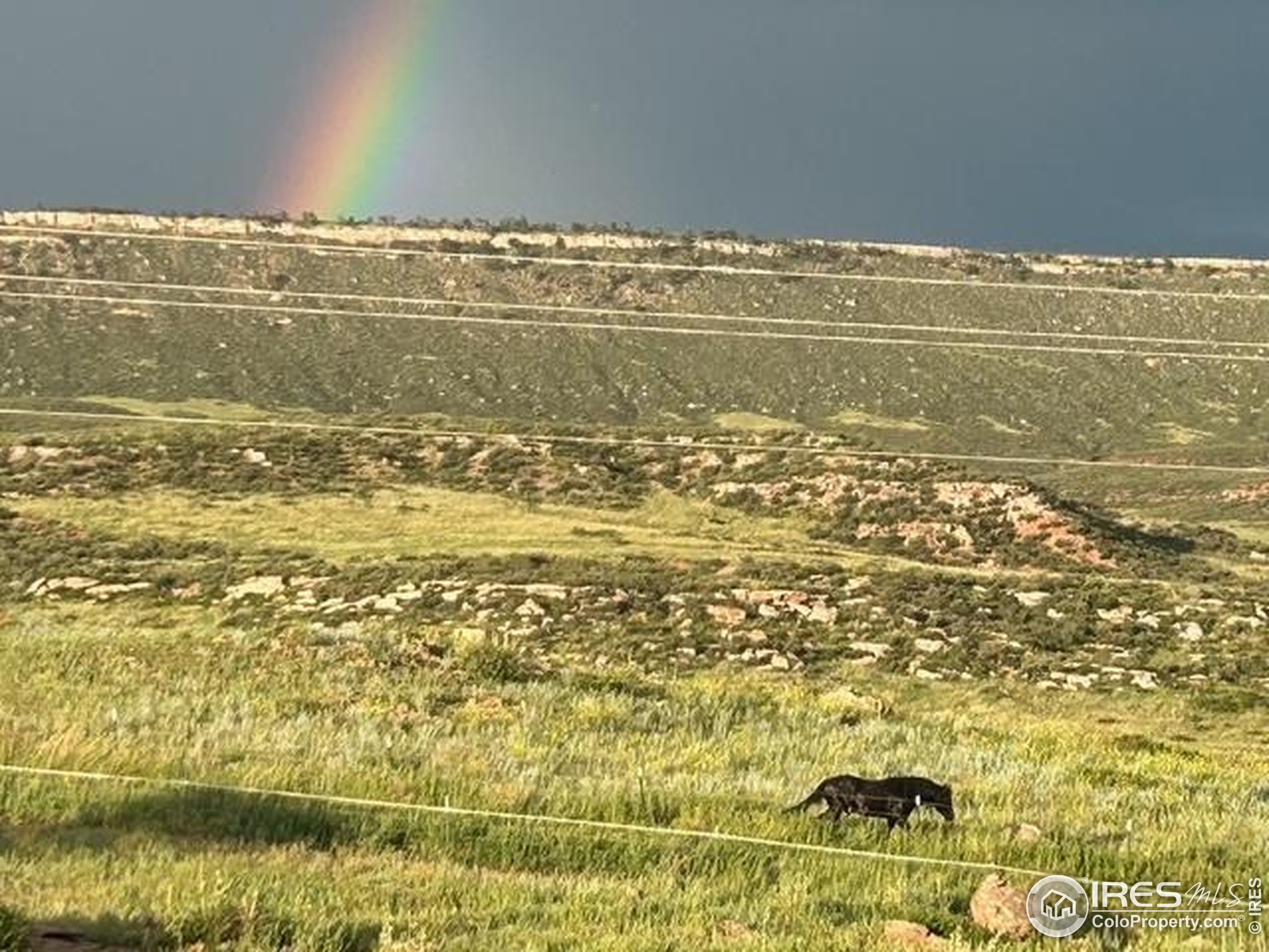 601 Red Mountain Road Livermore, CO 80536 - Photo 36 of 49 a view of an ocean