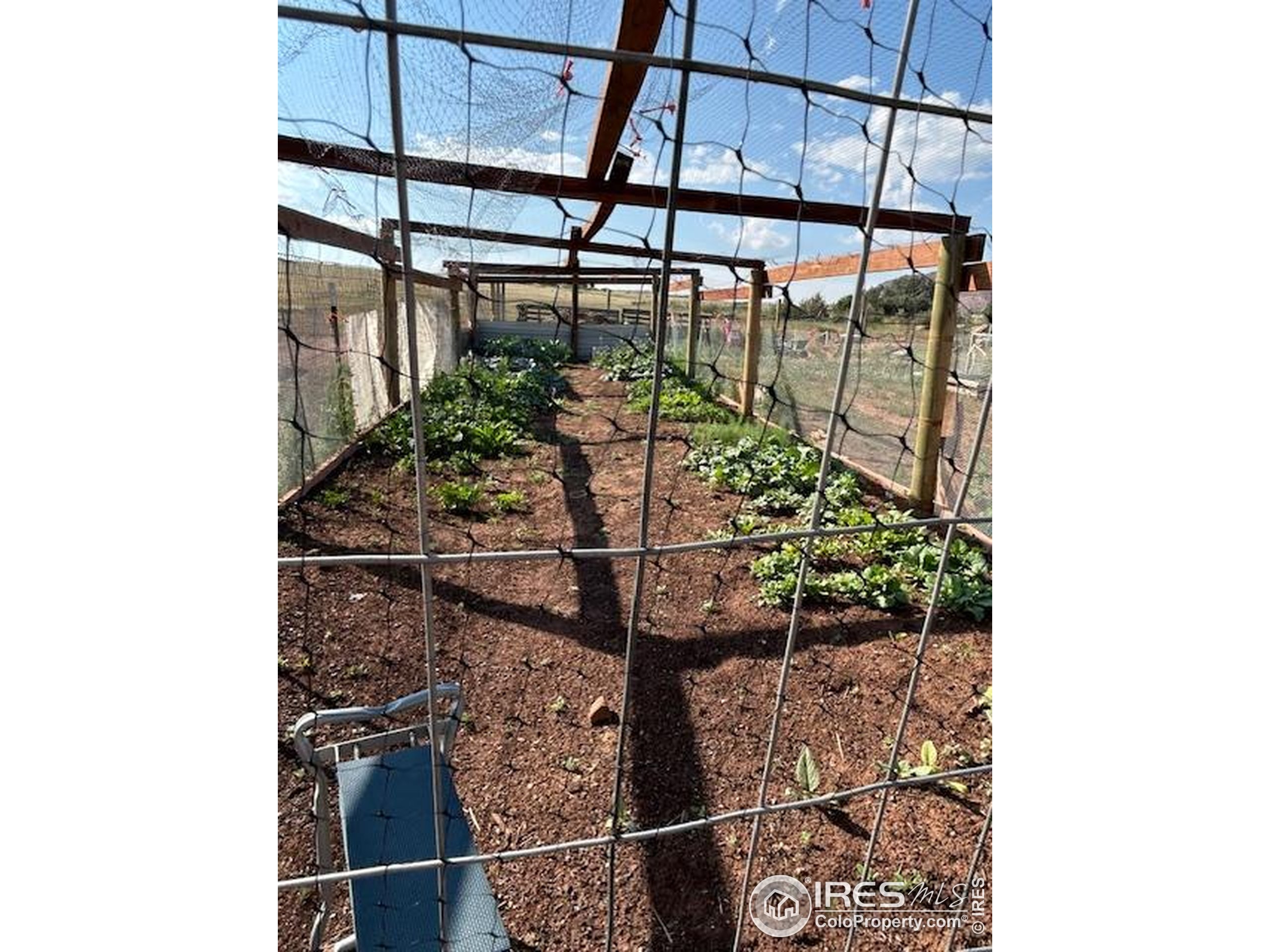 601 Red Mountain Road Livermore, CO 80536 - Photo 39 of 49 a picture of a glass door with a shower