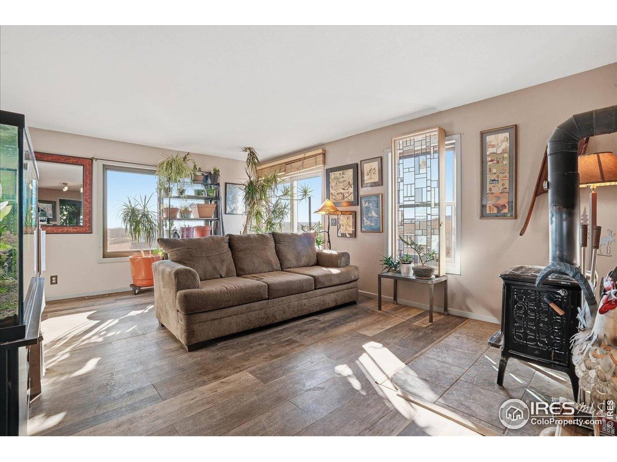601 Red Mountain Road Livermore, CO 80536 - Photo 8 of 49 a living room with furniture and a flat screen tv