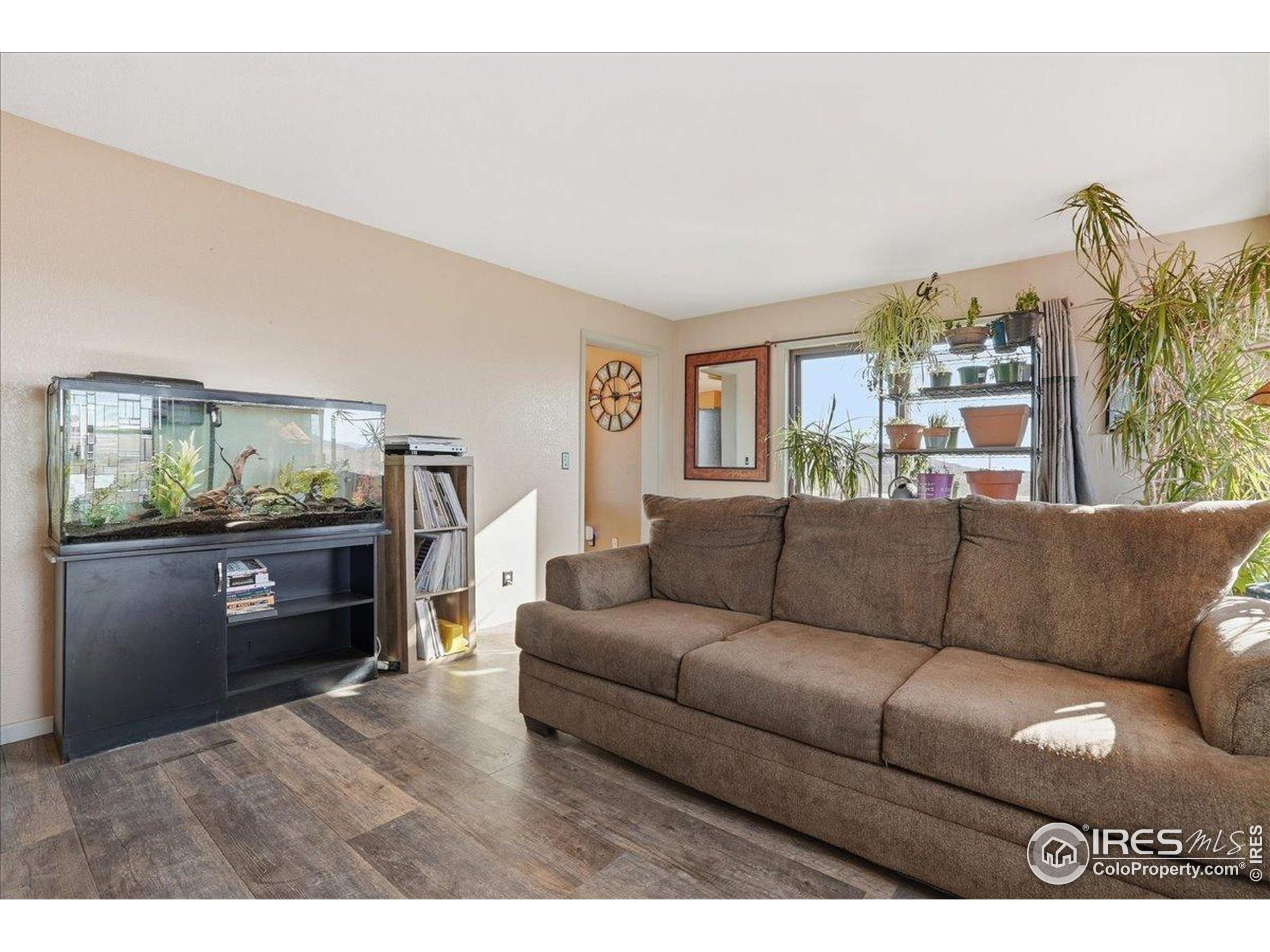 601 Red Mountain Road Livermore, CO 80536 - Photo 9 of 49 a living room with furniture and a flat screen tv