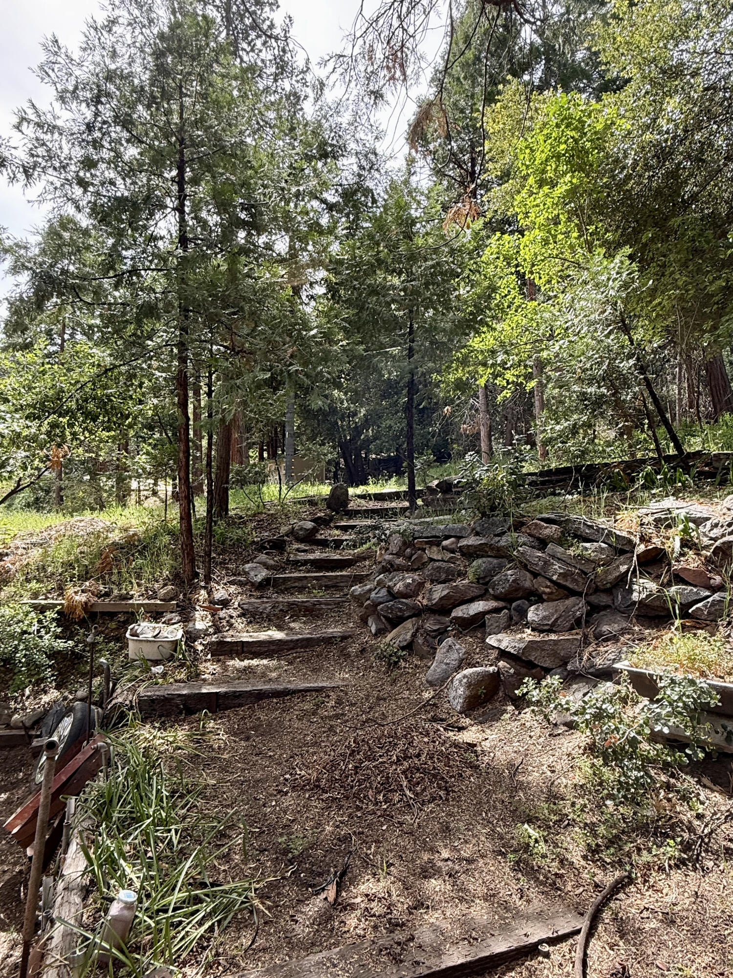 1883 James Drive Springville, CA 93265 - Photo 48 of 56
