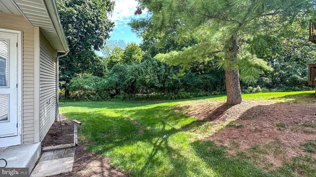 a view of a yard with slide